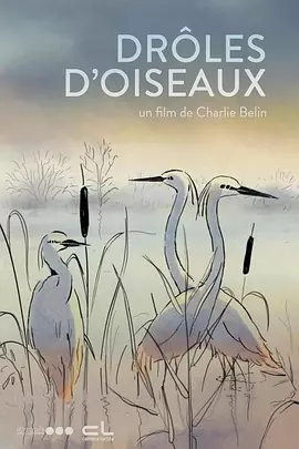 色涩综合