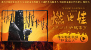 国产在线观看午夜不卡