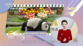 萌白酱一线天粉嫩喷水在线观看